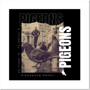 Pigeons Streetwear Posters and Art